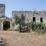 Davanti a noi si staglia una parete della cinta muraria quadrangolare che delimita il casale, preceduta da un ulivo e rigogliose piante grasse